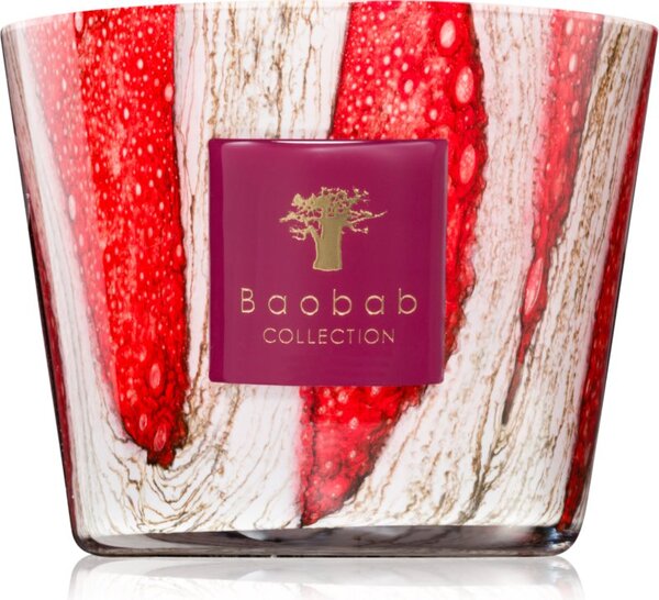 Baobab Collection Woods Risoud mirisna svijeća 500 g
