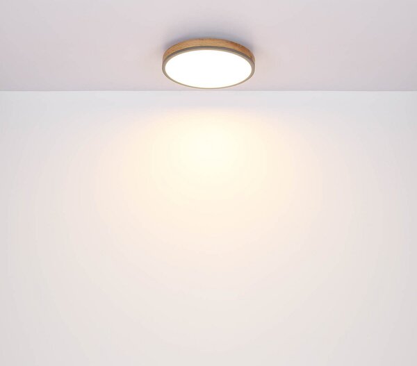 Globo Doro LED stropna svjetiljka, Ø 60 cm, grafit/tamno drvo, CCT, prigušiva, Drvo, Dnevni boravak/blagovaonica, Drvo