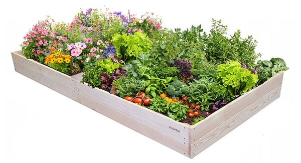 ATMOWOOD Drvena podignuta gredica 240 x 100 x 20 cm