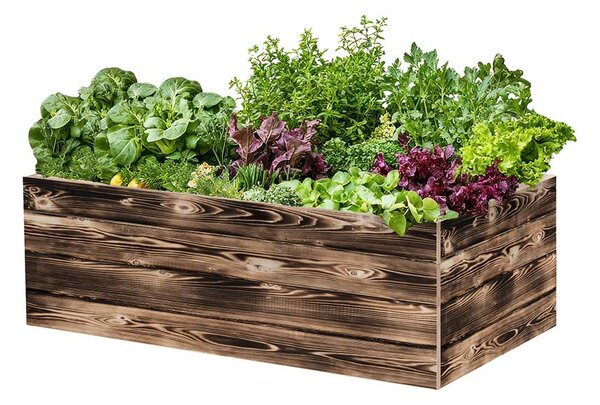 ATMOWOOD Drvena podignuta gredica 120 x 60 x 40 cm - pougljena