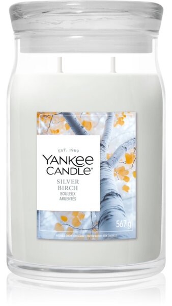 Yankee Candle Silver Birch mirisna svijeća 567 g