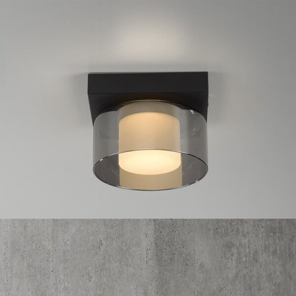 Paul Neuhaus LED stropna svjetiljka Rika, Ø 15 cm, staklo, prigušivanje, prigušiva, Crno, Dnevni boravak/blagovaonica, Staklo