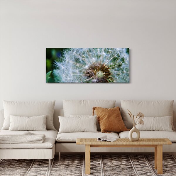 Slika ocvalog maslačka (120x50 cm)