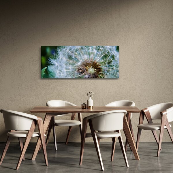 Slika ocvalog maslačka (120x50 cm)