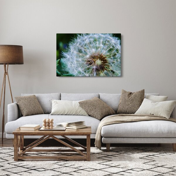 Slika ocvalog maslačka (90x60 cm)