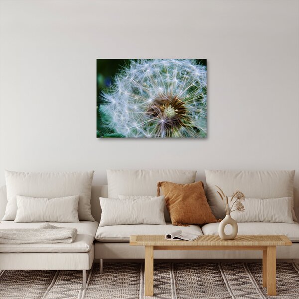 Slika ocvalog maslačka (70x50 cm)