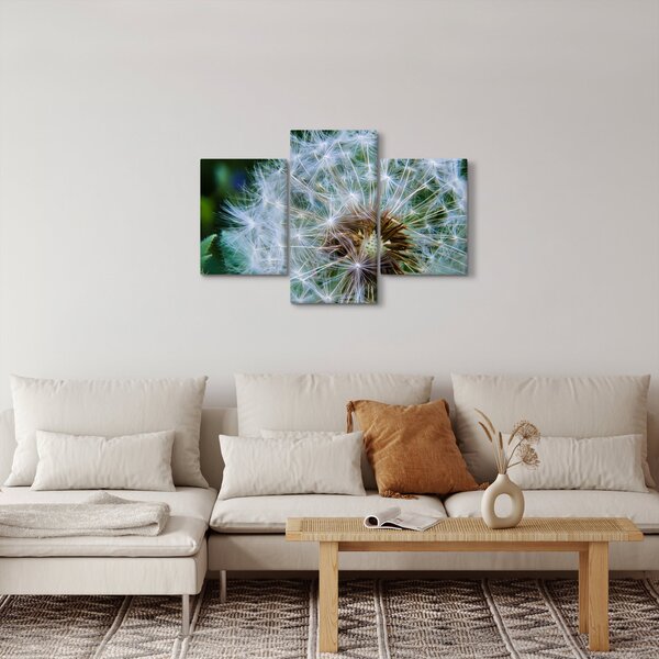 Slika ocvalog maslačka (90x60 cm)
