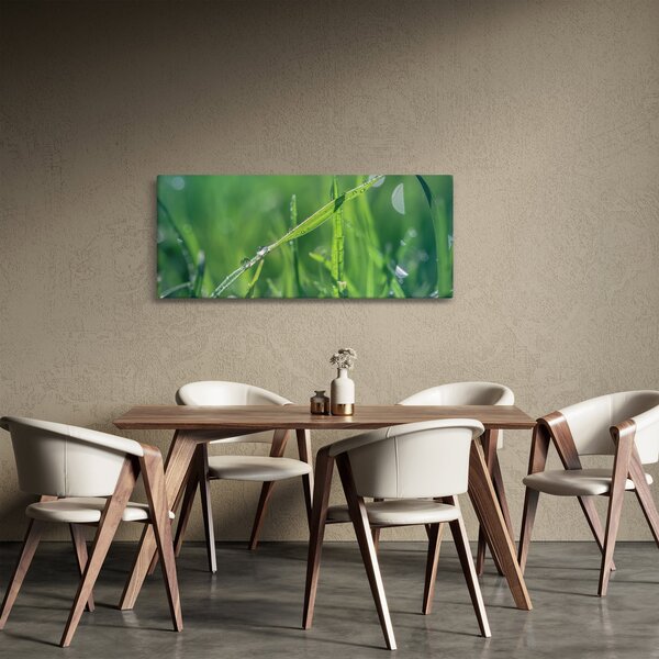Slika kapi rose (120x50 cm)