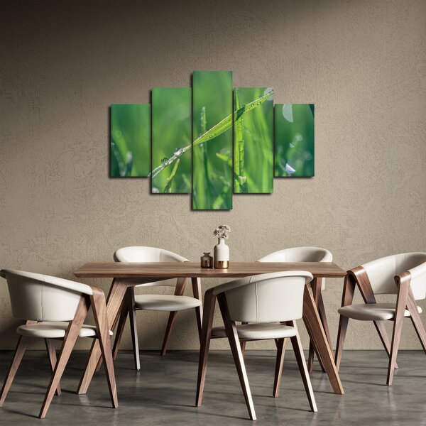 Slika kapi rose (150x105 cm)