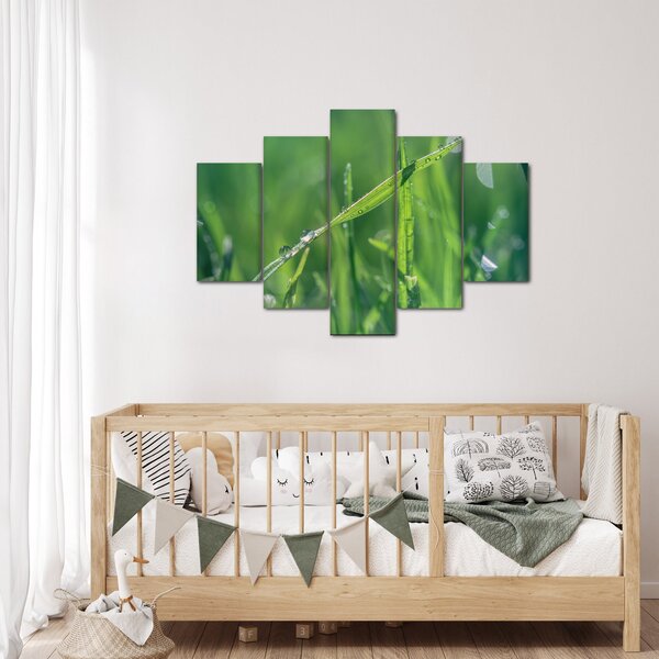 Slika kapi rose (150x105 cm)