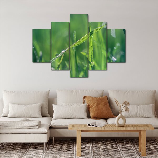 Slika kapi rose (150x105 cm)