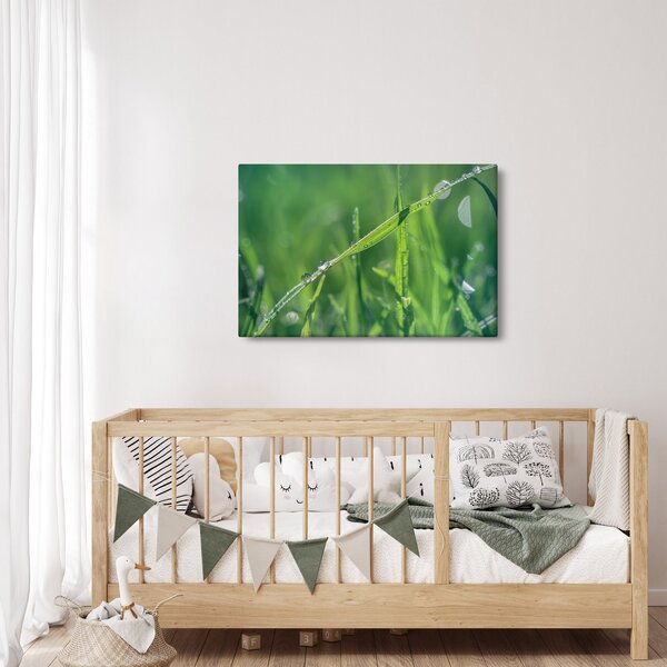 Slika kapi rose (90x60 cm)