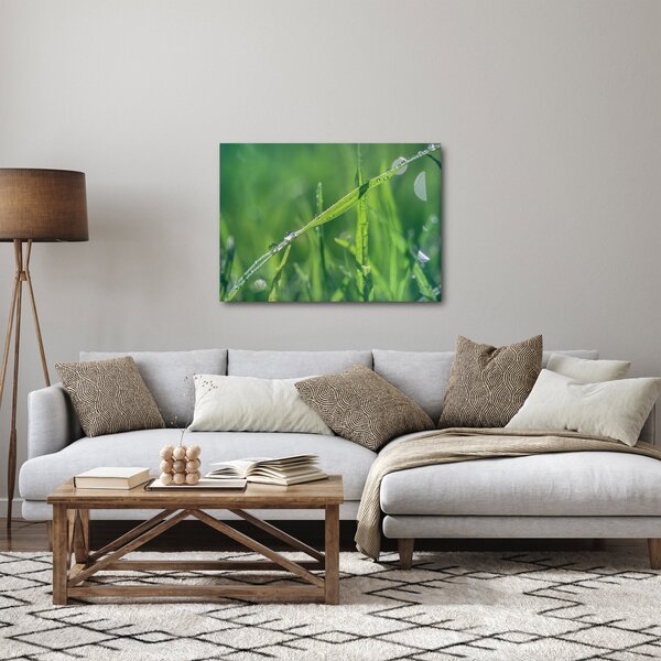Slika kapi rose (70x50 cm)