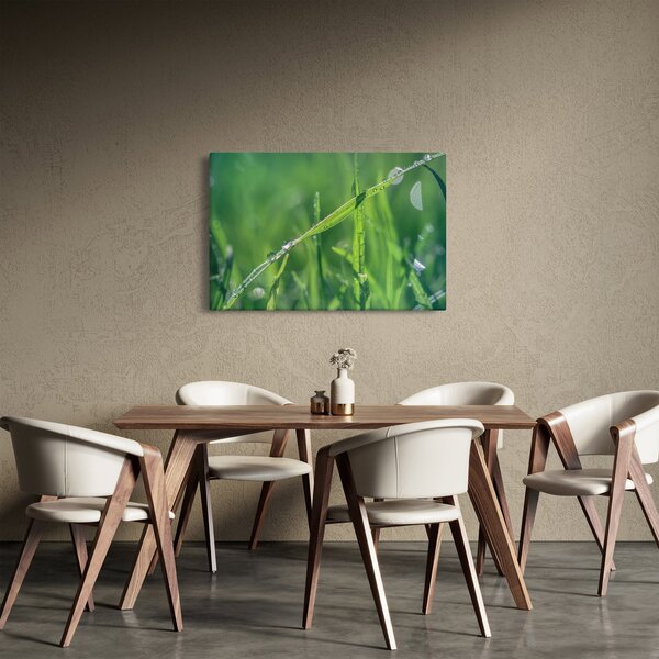 Slika kapi rose (90x60 cm)