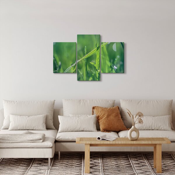 Slika kapi rose (90x60 cm)