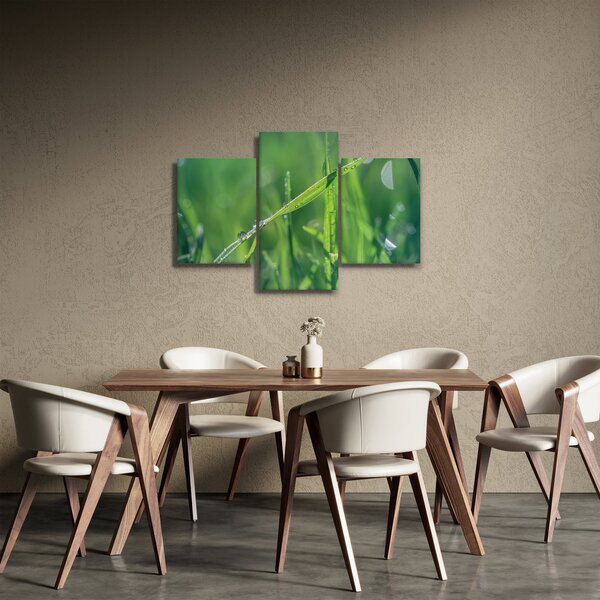 Slika kapi rose (90x60 cm)