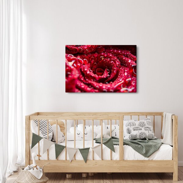 Slika cvijeta crvene ruže (90x60 cm)