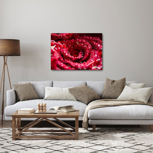 Slika cvijeta crvene ruže (70x50 cm)