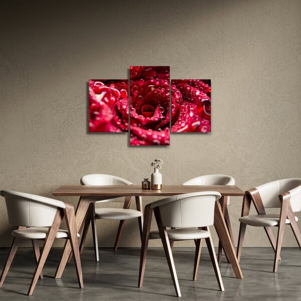 Slika cvijeta crvene ruže (90x60 cm)