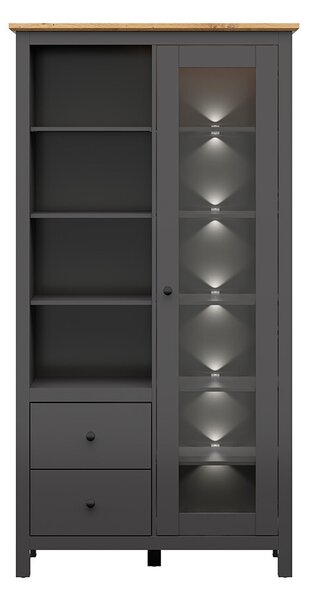 Zondo.hr Vitrina Hesen REG1W2S/20/11 (s LED rasvjetom) (grafit + hrast artisan). Akcija -10%. 1062527