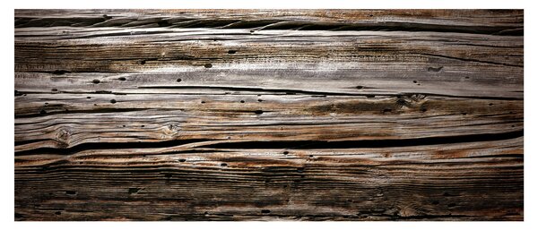 Slika - sezonsko drvo (120x50 cm)