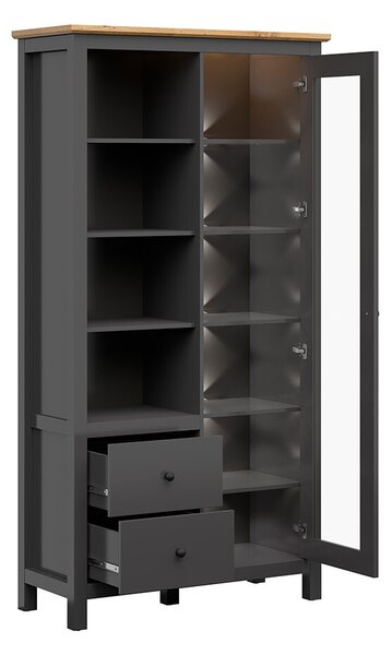 Zondo.hr Vitrina Hesen REG1W2S/20/11 (s LED rasvjetom) (grafit + hrast artisan). Akcija -10%. 1062527