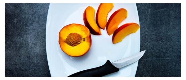 Slika breskve (120x50 cm)