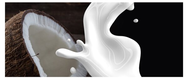 Slika - kokosovo mlijeko (120x50 cm)