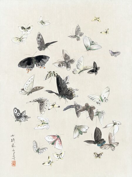 Reprodukcija umjetnosti Butterflies & Moths (1 of 2) - Katsushika Hokusai, (30 x 40 cm)