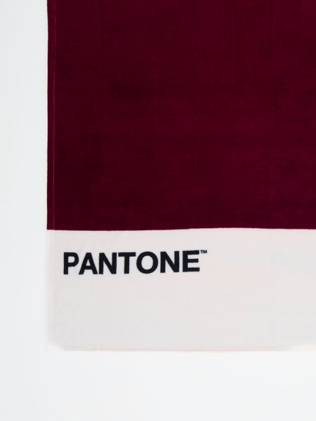 Sinsay - Deka Pantone