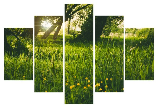 Slika prirode - livada (150x105 cm)