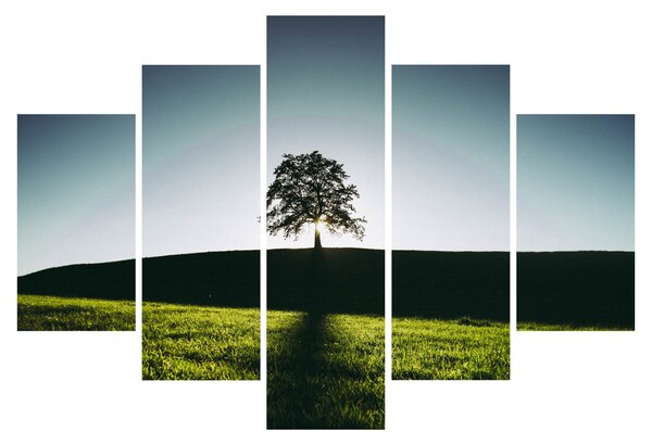 Slika prirode - stablo (150x105 cm)