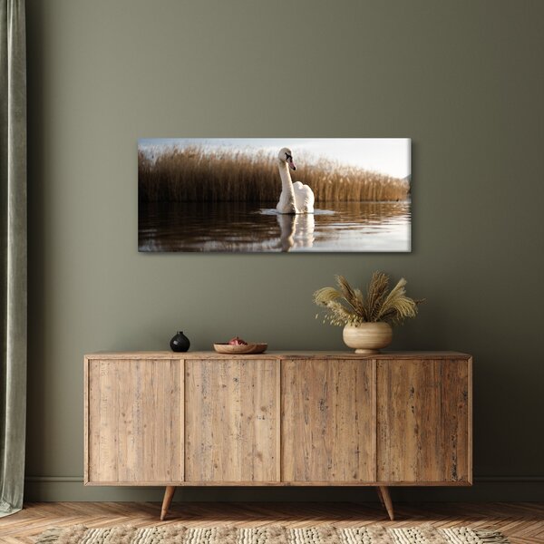 Slika labuda (120x50 cm)