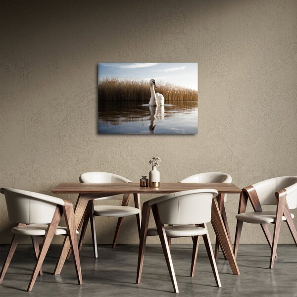 Slika labuda (70x50 cm)