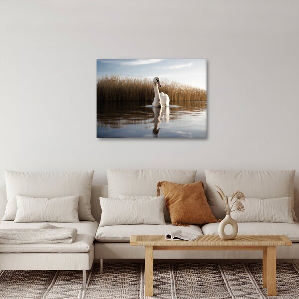 Slika labuda (70x50 cm)