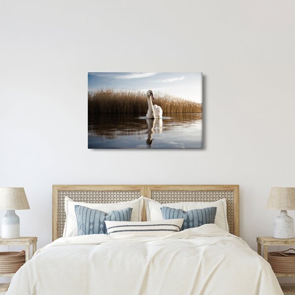 Slika labuda (90x60 cm)