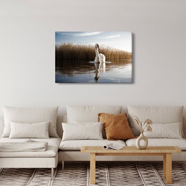 Slika labuda (90x60 cm)