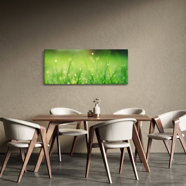 Slika - rosa na travi (120x50 cm)