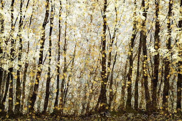 Ilustracija Forest filed with golden autumn leaves, Andrew Bret Wallis, (40 x 26.7 cm)