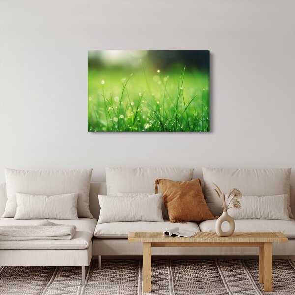Slika - rosa na travi (90x60 cm)