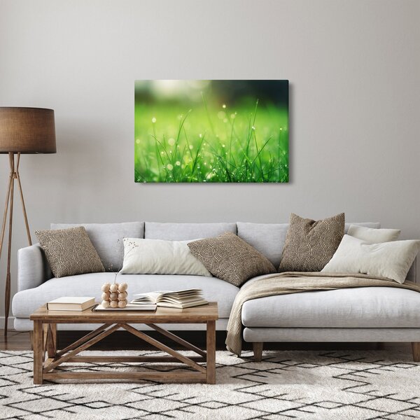 Slika - rosa na travi (90x60 cm)