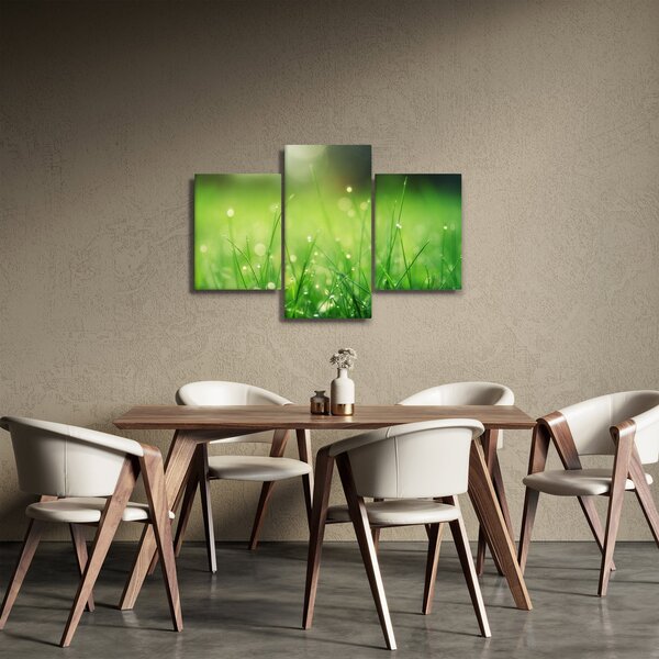 Slika - rosa na travi (90x60 cm)