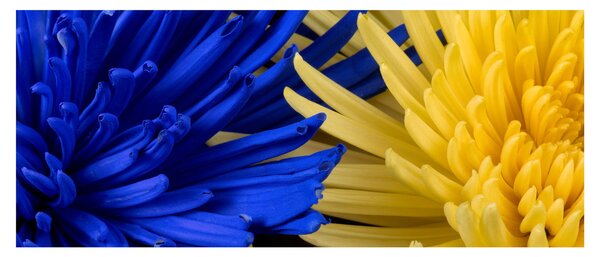 Slika - detalj cvijetova (120x50 cm)
