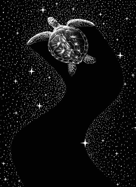 Ilustracija Starry Turtle, Aliriza Cakir, (30 x 40 cm)