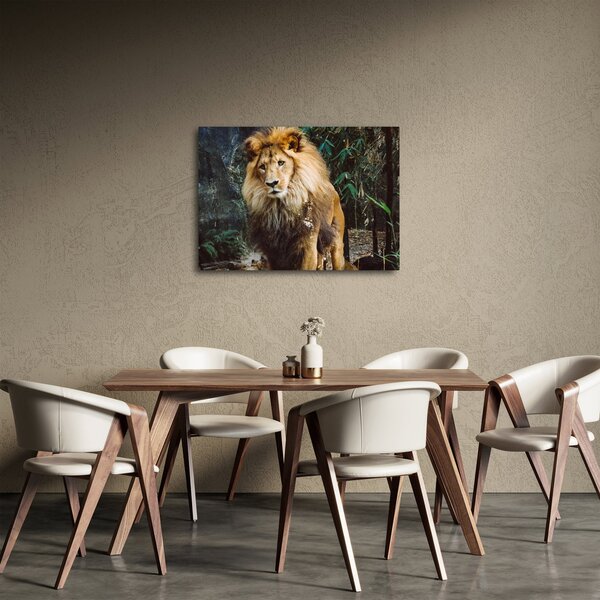 Slika lava u prirodi (70x50 cm)