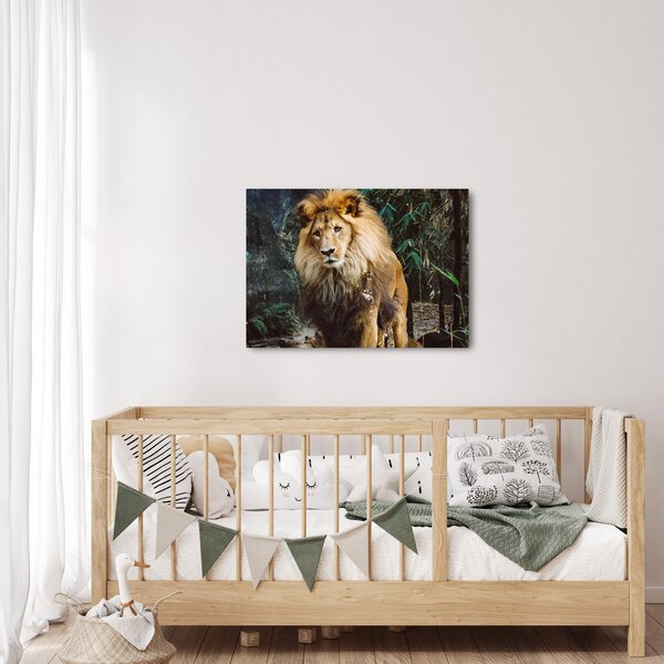 Slika lava u prirodi (70x50 cm)