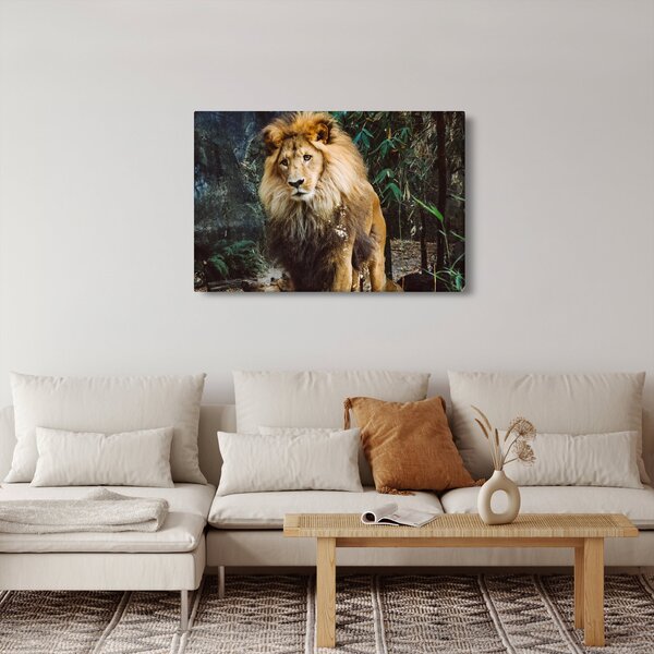 Slika lava u prirodi (90x60 cm)