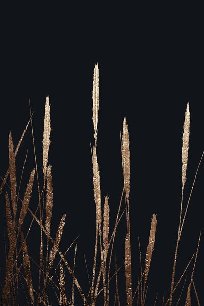 Ilustracija Golden Fields In The Dark, Kubistika, (26.7 x 40 cm)