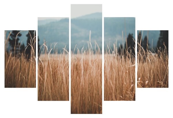 Slika - detalj livadskog bilja (150x105 cm)
