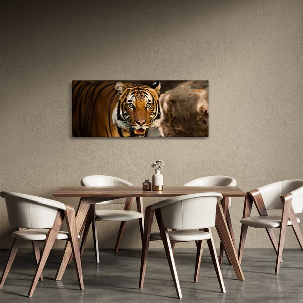 Slika tigra (120x50 cm)